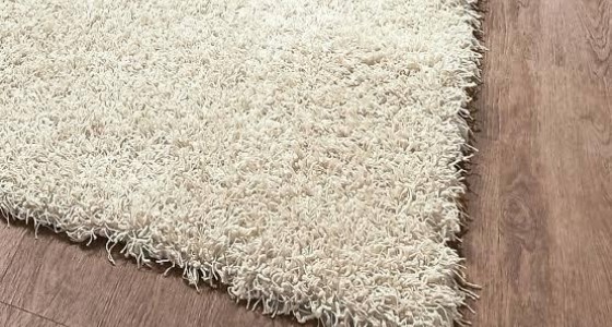 Eskişehir Shaggy Halı Yıkama